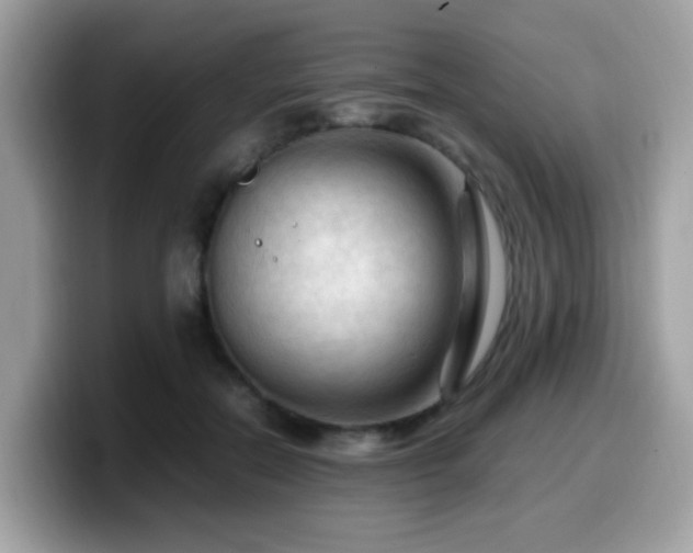 X0000099980554200805301356