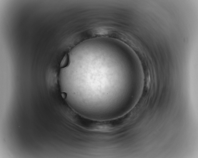 X0000099980555200805301356