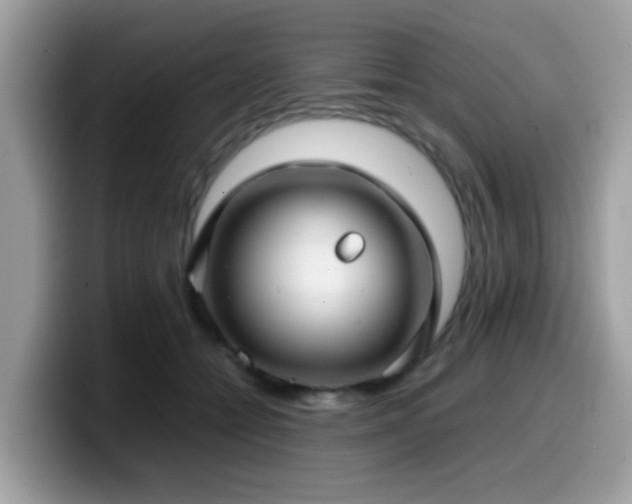 X0000099980558200805301356