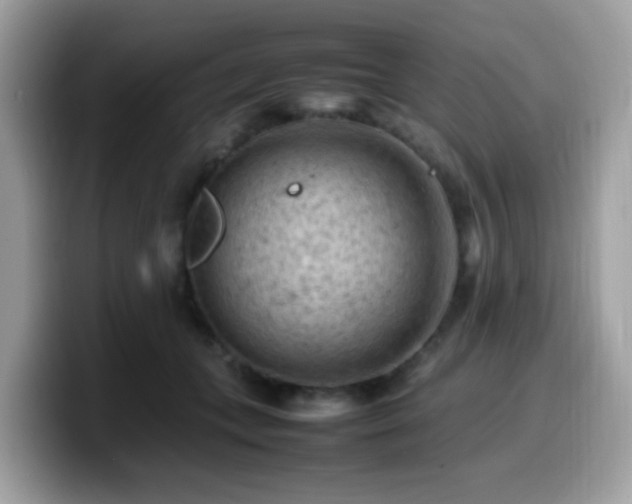 X0000099980559200805301356