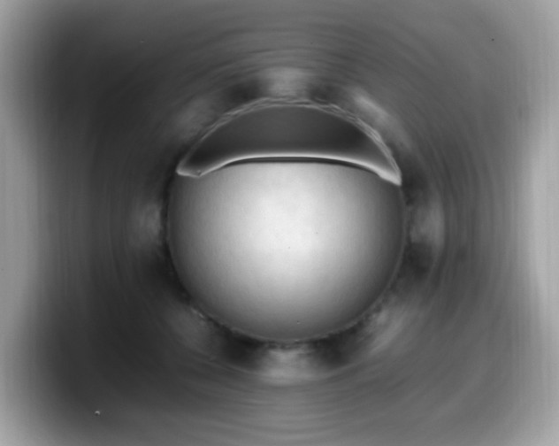 X0000099980560200805301356