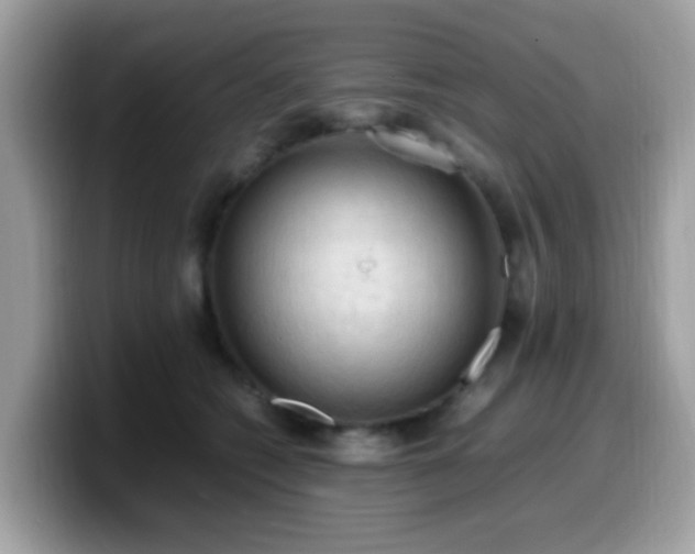 X0000099980562200805301356