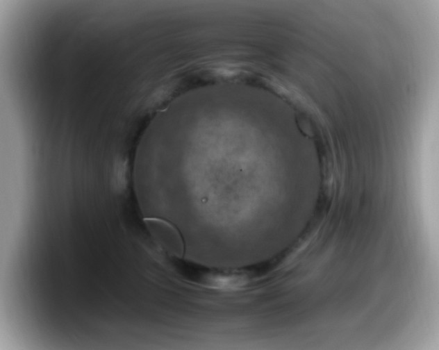 X0000099980563200805301356