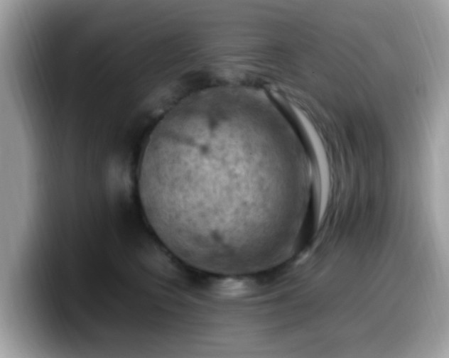 X0000099980566200805301356