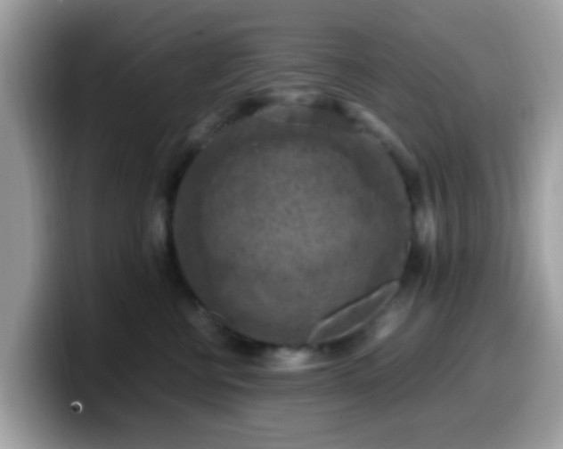 X0000099980570200805301356