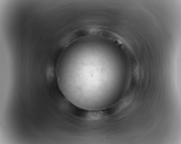 X0000099980571200805301356