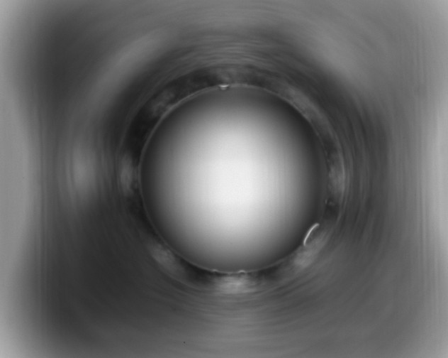 X0000099980574200805301356