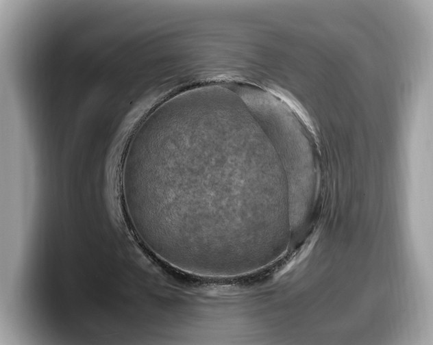 X0000099980577200805301355