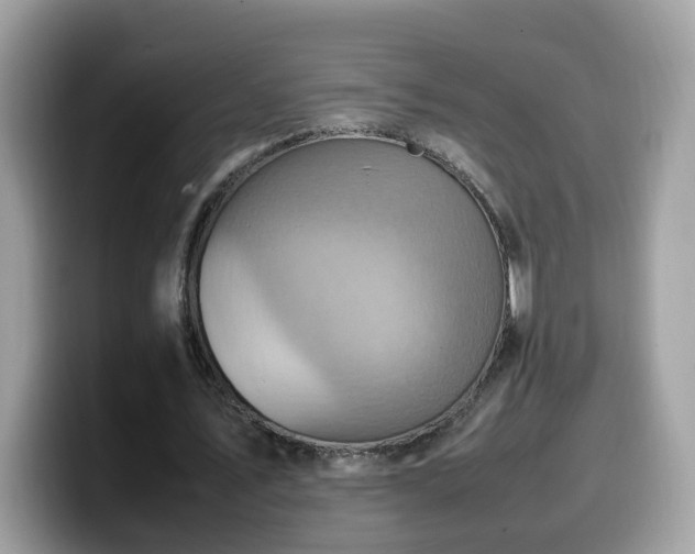 X0000099980579200805301355