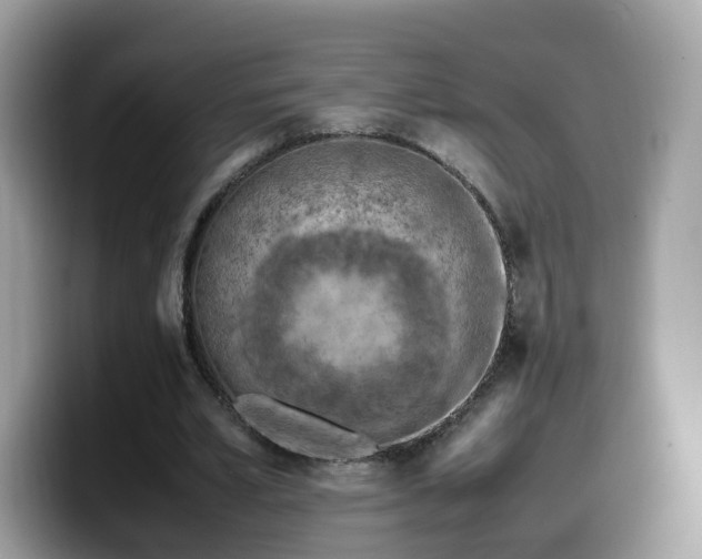 X0000099980581200805301355