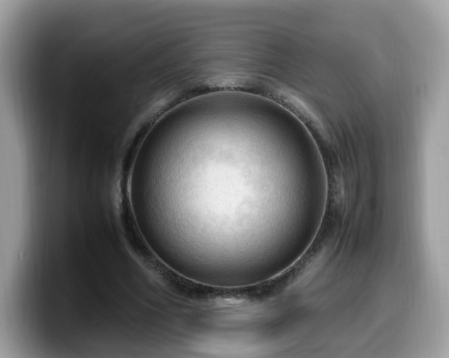 X0000099980586200805301355