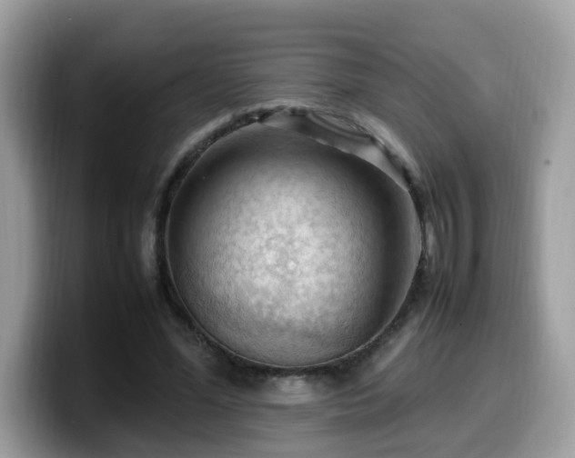 X0000099980588200805301355