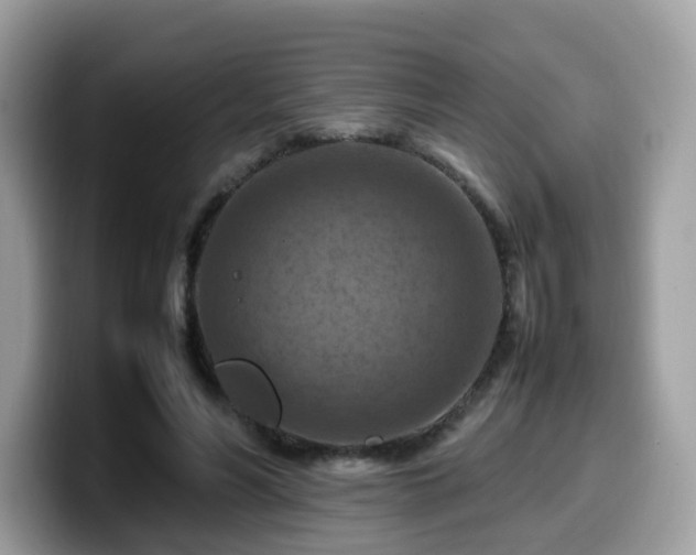 X0000099980590200805301355