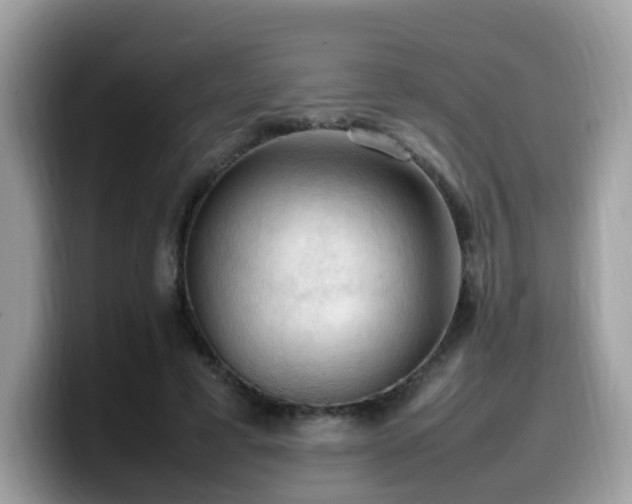 X0000099980593200805301355