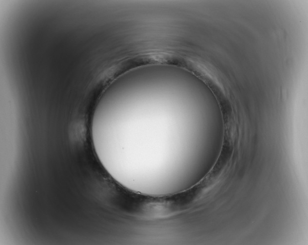 X0000099980595200805301355