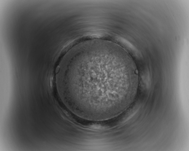 X0000099980596200805301355