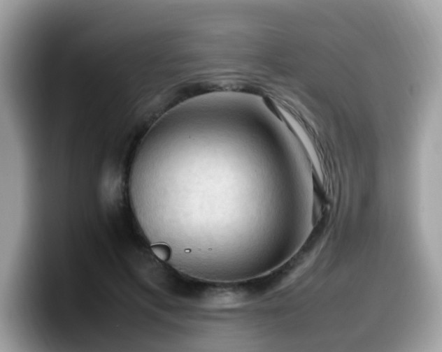 X0000099980597200805301355