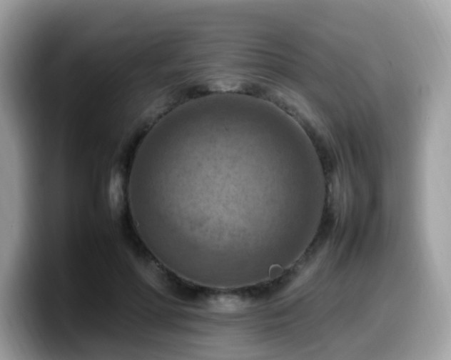 X0000099980598200805301355