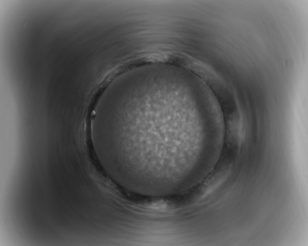 X0000099980600200805301355