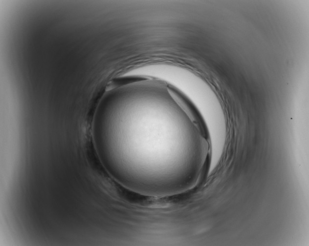 X0000099980601200805301355