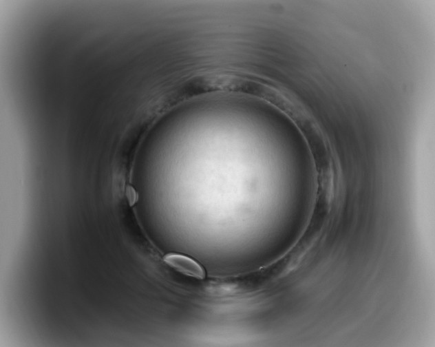 X0000099980602200805301355