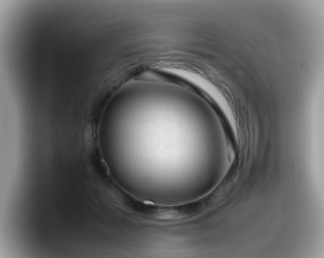 X0000099980605200805301355