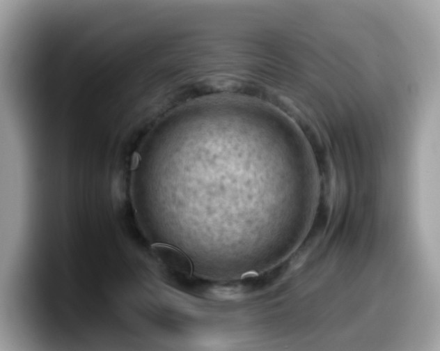 X0000099980606200805301355