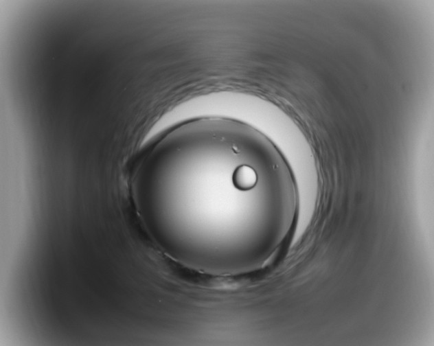 X0000099980613200805301355