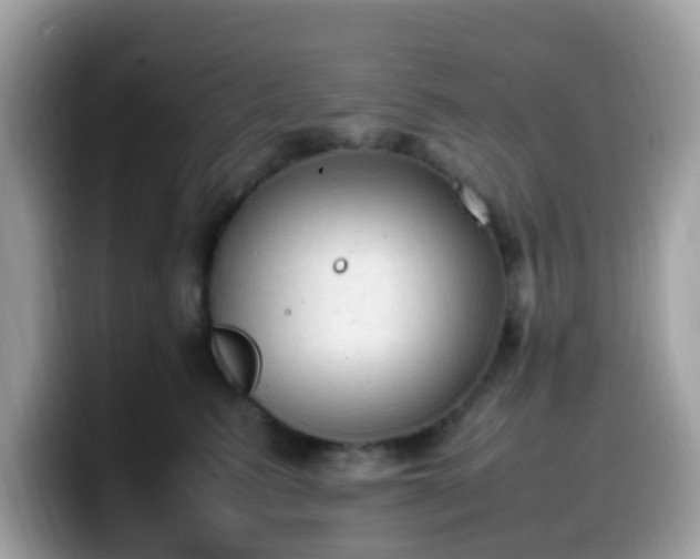 X0000099980615200805301355