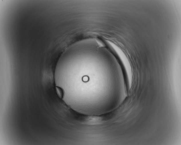 X0000099980617200805301355