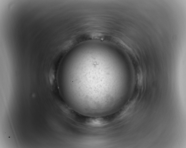 X0000099980618200805301355