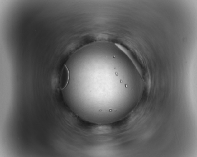 X0000099980619200805301355