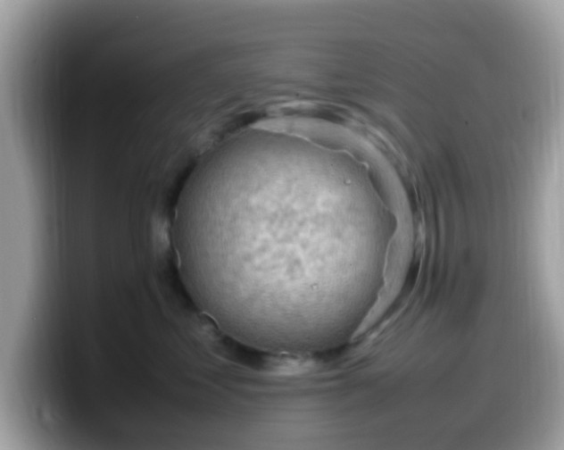 X0000099980621200805301355