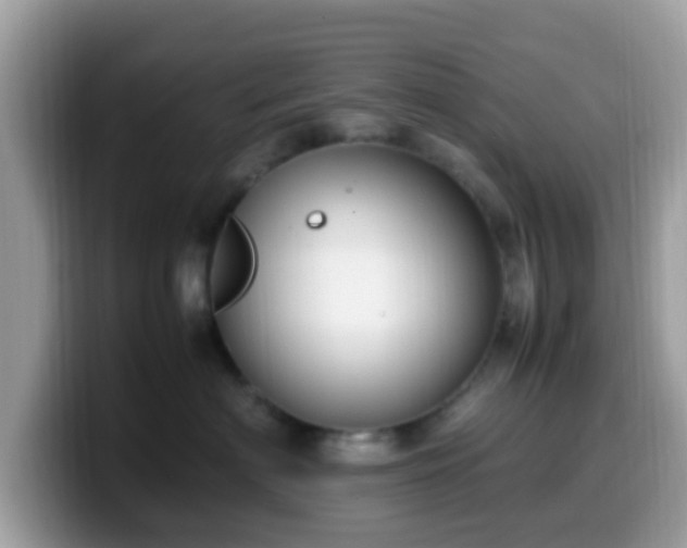 X0000099980622200805301355