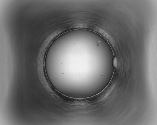 X0000099980625200805301354