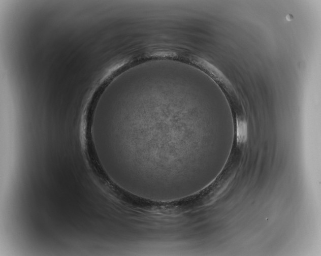 X0000099980627200805301354