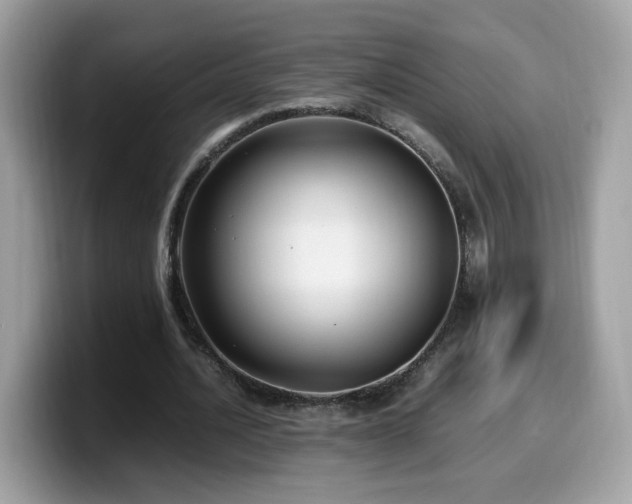 X0000099980628200805301354