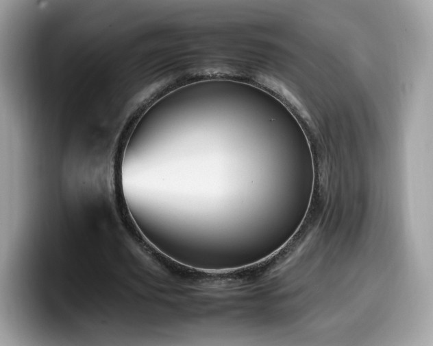 X0000099980629200805301354