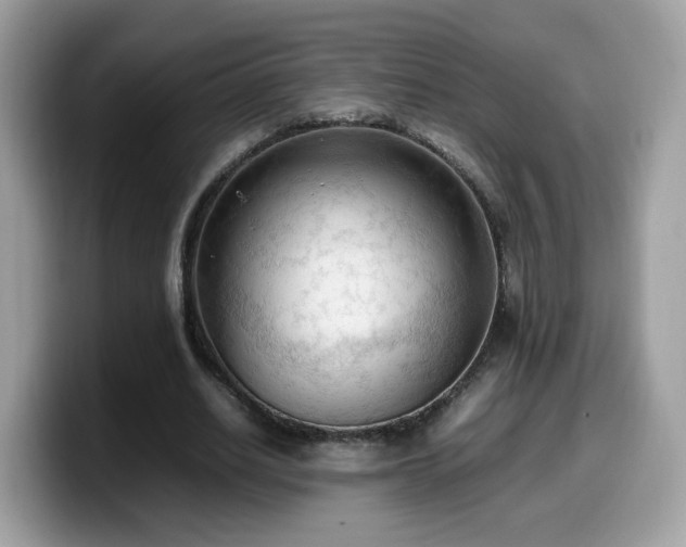 X0000099980630200805301354