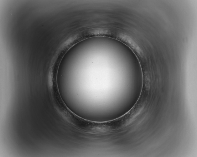 X0000099980631200805301354