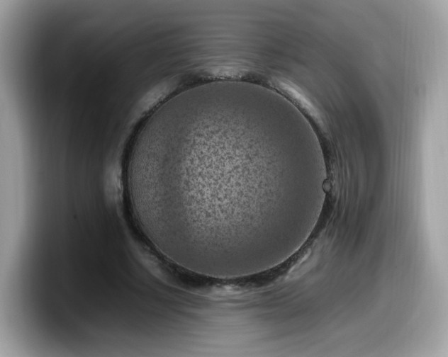 X0000099980634200805301354