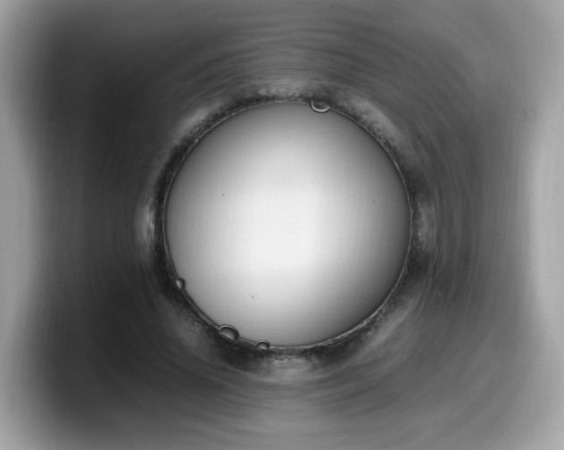 X0000099980636200805301354