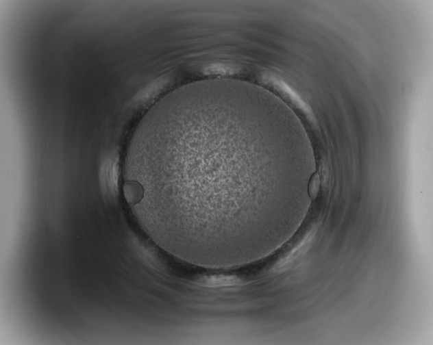 X0000099980637200805301354