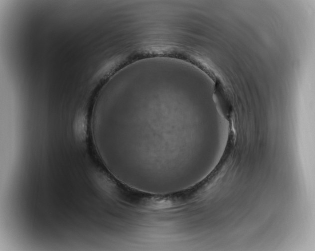 X0000099980640200805301354