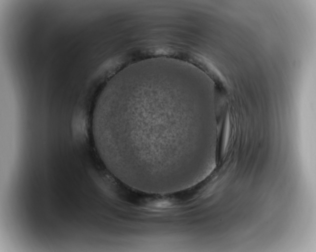 X0000099980643200805301354