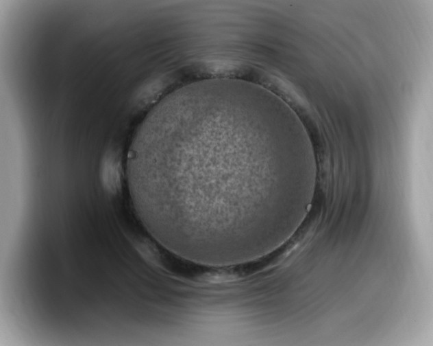 X0000099980644200805301354