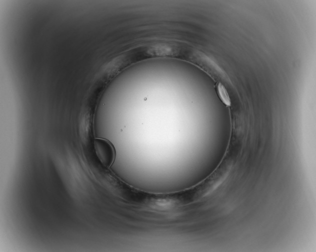 X0000099980645200805301354