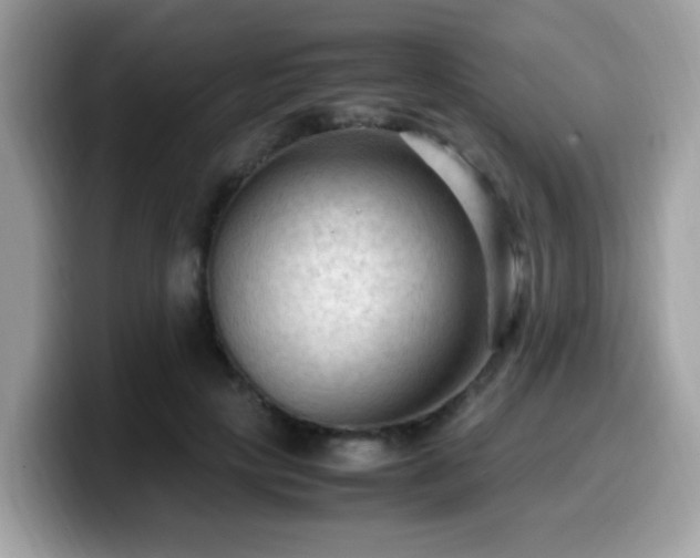 X0000099980649200805301354