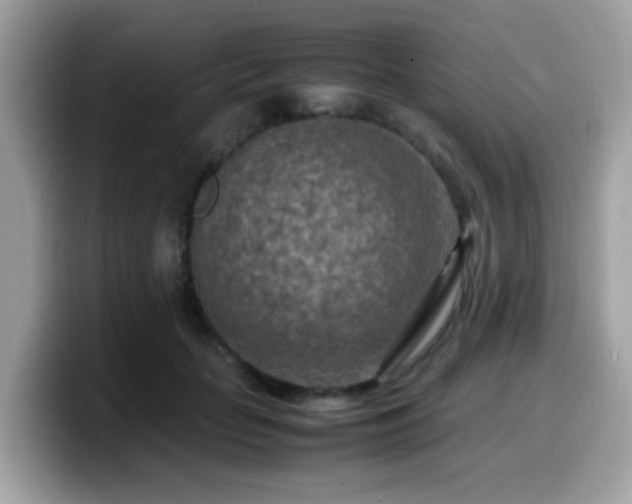 X0000099980653200805301354