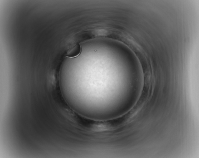 X0000099980655200805301354